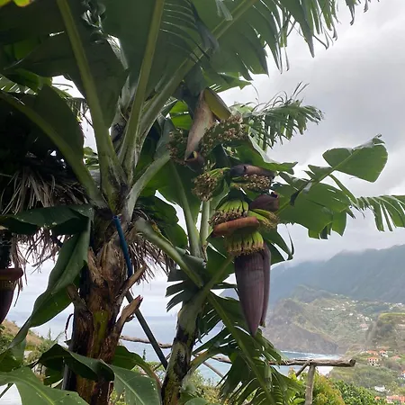 Penha D'aguia Villa