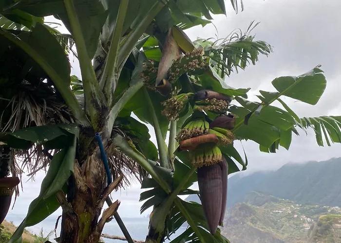 Penha D'aguia 别墅